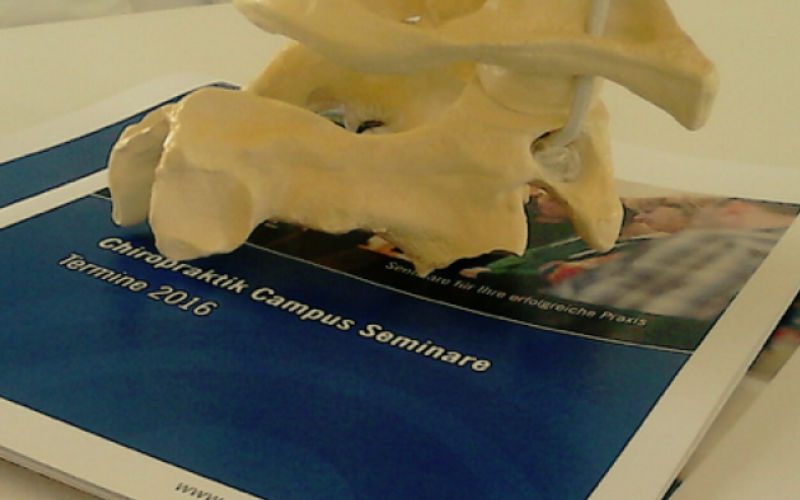 Chiropraktik Campus Ein Modell eines Wirbels liegt auf einer Broschüre