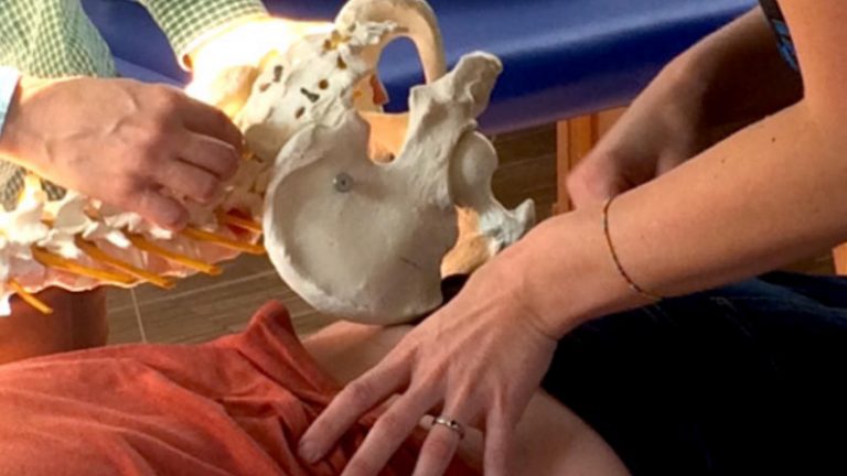 Cox-Technik Nahaufnahme einer chiropraktischen Anwendung, durch zwei Hände. Ein Modell einer Wirbelsäule wird daneben gehalten.