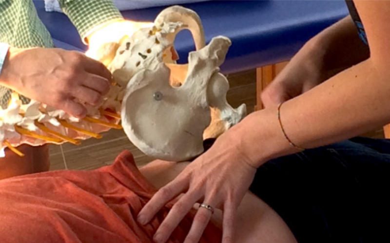 Cox-Technik Nahaufnahme einer chiropraktischen Anwendung, durch zwei Hände. Ein Modell einer Wirbelsäule wird daneben gehalten.