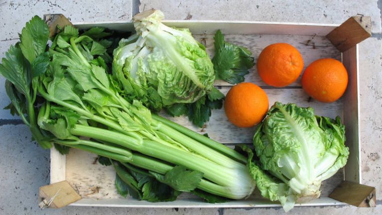 Gemüse In einer Holzkiste sind zwei Salatköpfe, ein Bund Sellerie und drei Orangen