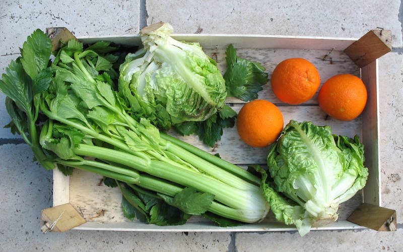 Gemüse In einer Holzkiste sind zwei Salatköpfe, ein Bund Sellerie und drei Orangen
