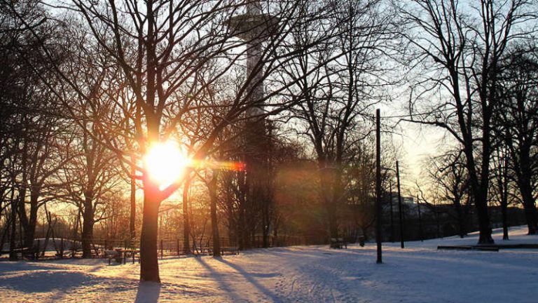 Über einen verschneiten Park scheint die Sonne durch einige kahle Bäume hindurch, im Hintergrund ist ein Fernsehturm zu sehen
