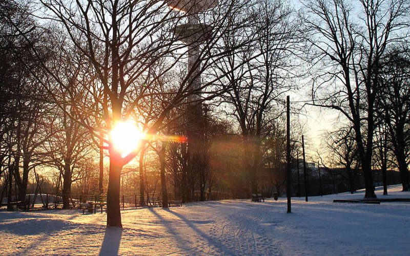 Wintersonne Über einen verschneiten Park scheint die Sonne durch einige kahle Bäume hindurch, im Hintergrund ist ein Fernsehturm zu sehen