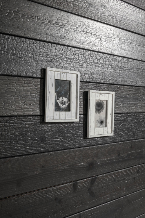 Auf einer alten Holzvertäfelung sind zwei Bilderrahmen mit Bildern von Blumen angebracht, alles ist in schwarz-weiß gehalten