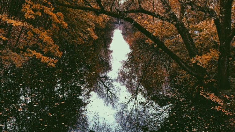 Ein herbstlicher Fluss, der von Bäumen mit gelben Blättern gesäumt ist.