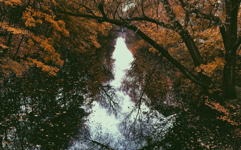 Herbstlicher Fluss Ein herbstlicher Fluss, der von Bäumen mit gelben Blättern gesäumt ist.