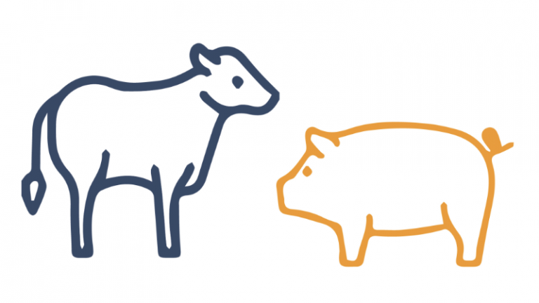 Databye-Zukunft_Fleischkomsum Kuh und Schwein Grafik. Grafik Schlachtereien
