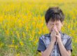 Ein kleiner asiatischer Junge hat eine Allergie gegen Blütenpollen. Der Junge hat eine laufende Nase im Blumenfeld und wischt sich die Nase mit einem Papiertaschentuch ab.