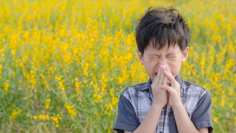 Allergien Ein kleiner asiatischer Junge hat eine Allergie gegen Blütenpollen. Der Junge hat eine laufende Nase im Blumenfeld und wischt sich die Nase mit einem Papiertaschentuch ab.