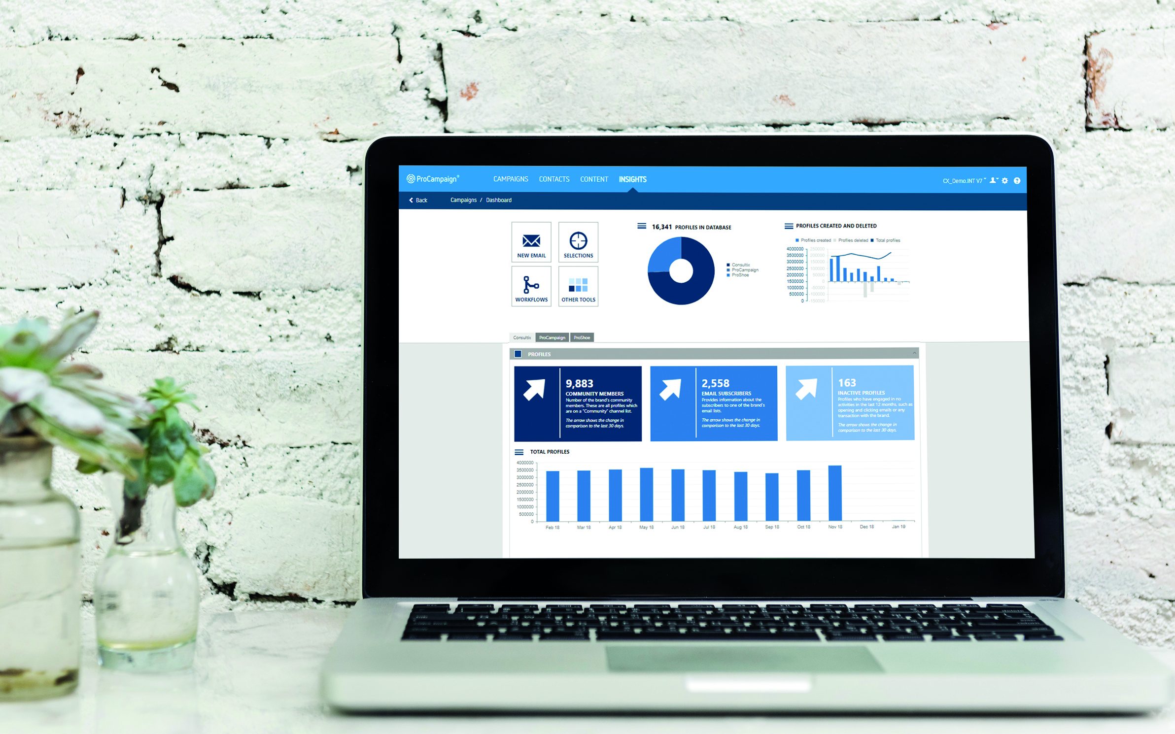 ProCampaign Icebreaker Insights_Dashboard