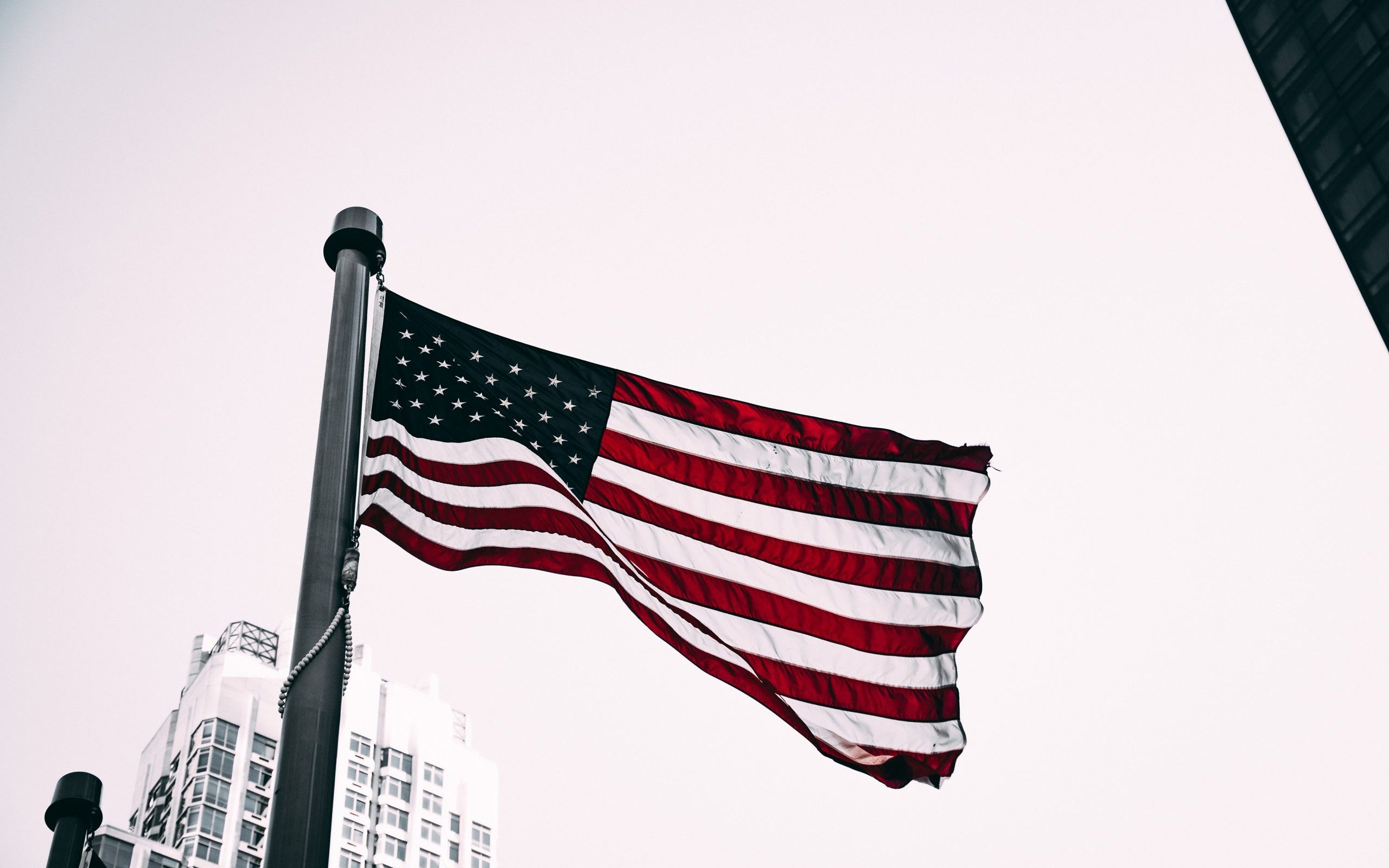 EasyTecs_USA_Credit_pexels-matthis-volquardsen_300dpi