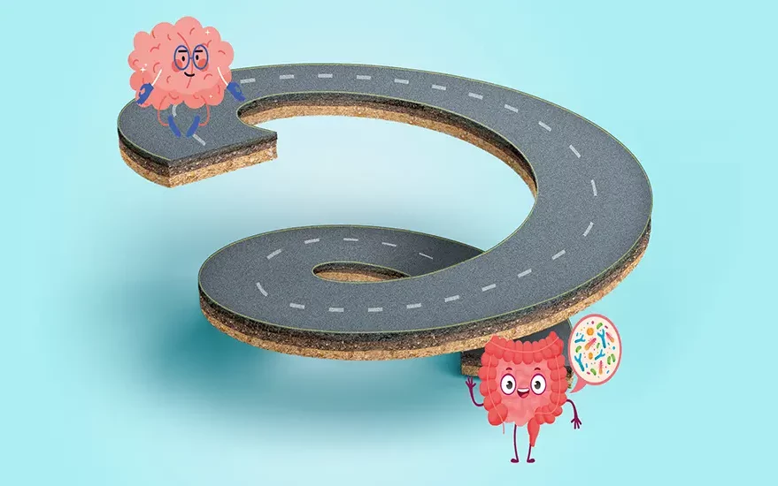 Illustration von einem Gehirn und Darm die durch eine Straße verbunden sind.