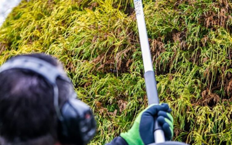 Gartenratgeber_anyhelpnow_300dpi_2 Mit der richtigen Hilfe gleicht sich der fehlende grüne Daumen aus. Bildrechte: anyhelpnow Services GmbH & Co. KG