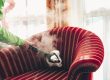 Reinigungsmittel hinterlassen auf allen Oberflächen ihre Spuren. | Bildrechte: Medeco Cleantec